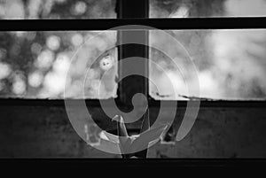 Origami Bird on the window