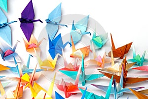 Origami birds photo