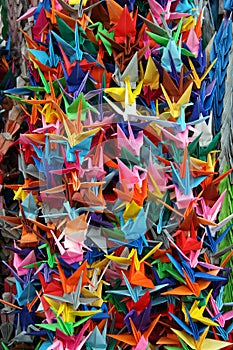 Origami Cranes