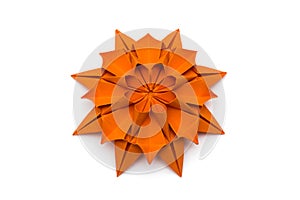 Origami Dahlia Flower