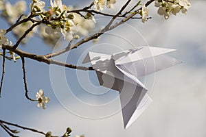 Origami dove on blooming spring tree