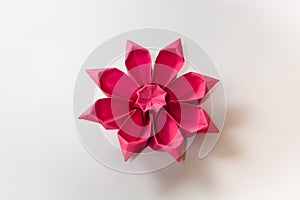 Origami Gerbera Flower photo