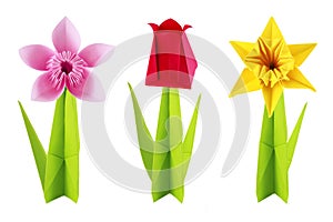 Origami flowers set