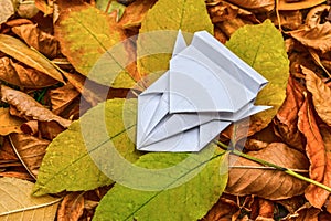 Origami in the form of a paper racing car on autumn foliage