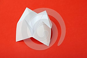 Origami Fortune Teller photo
