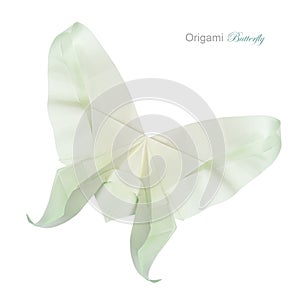 Origami green pastel butterfly