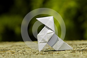 Origami photo