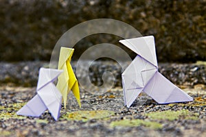 Origami photo