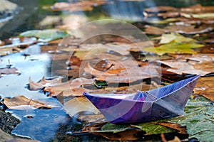 Origami paper ship floating in autumn leaves in water