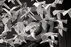 Origamis. Paper cranes