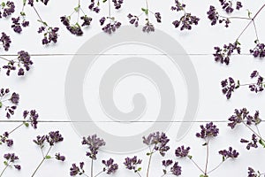 Origanum. Frame made of flowers with on wooden table