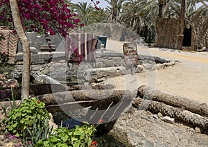 Origin of Cleopatra Spring in the Siwa Oasis, Egypt.