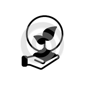 Black solid icon for Origin, genesis and growth