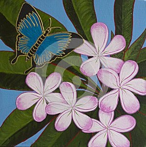 Original Acrylic Painting - Butterfly & Frangipani