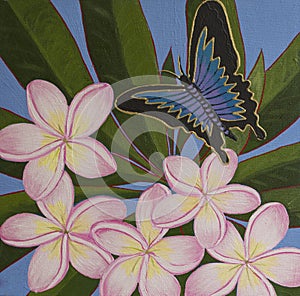 Original Acrylic Painting - Ulysses Butterfly & Frangipani