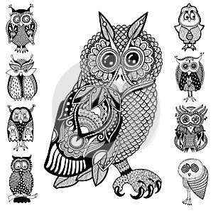 Original artwork of owl, ink hand drawing in