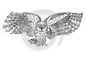 Original black and white drawing of owl