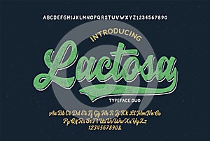 Original Brush Script Font. Retro Typeface. Vector