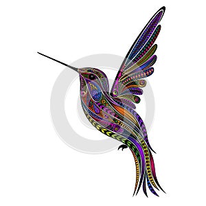 Original color vector Hummingbird in zentangle style