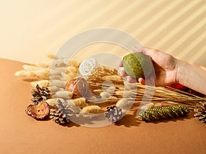 An original composition on a beige background - a bunch of cereals, cones, fruits. A female hand holds a fruit. Concept - Harvest