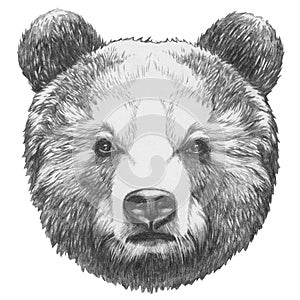 Original drawing of Bear.