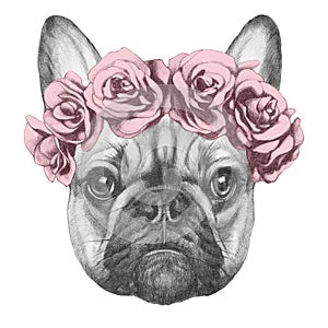 Original drawing of French Bulldog with roses.