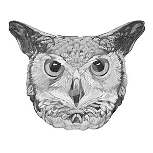 Original drawing of Owl.