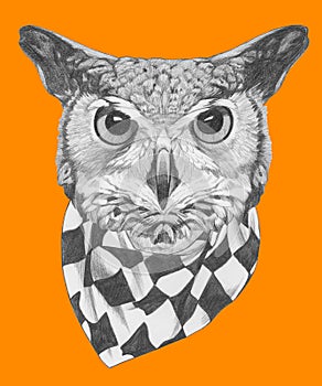 Original drawing of Owl with scarf.