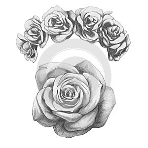 Original drawing of Roses.