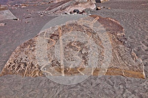 Original drawings on the stones of Toro Muerto, Peru