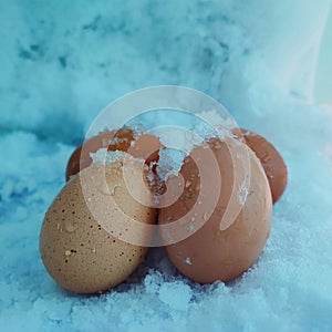 Original eggs in the refridgerator