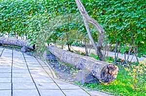 Original empty wooden bench in the park. Summer. Russia