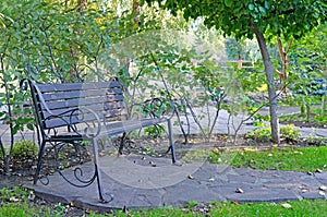 Original empty wooden bench in the recreation park. Summer