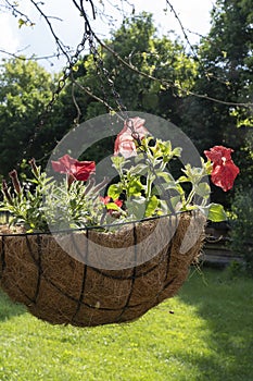 Original flowerpot with flowers hanging at the entrance to the house