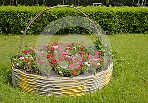 Original flowers in the form of a large basket