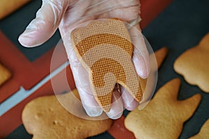 The original form of gingerbread in the form of teeth. Technology for the preparation of confectionery products. Close