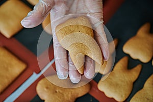 The original form of gingerbread in the form of teeth. Technology for the preparation of confectionery products. Close