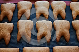 The original form of gingerbread in the form of teeth. Technology for the preparation of confectionery products. Close