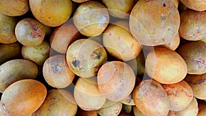 Original fruit from a tropical country, namely sapodilla in Cilacap, 26 December 2020