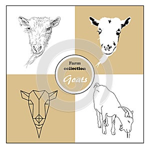 Original hand drawn goats heads animal farm collection in different styles