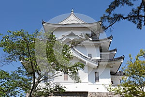 The original Ninja castle of Iga Ueno