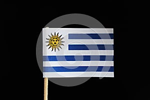A original and official flag of Uruguay on toothpick on black background. Consists of nine horizontal stripes of white alternate w