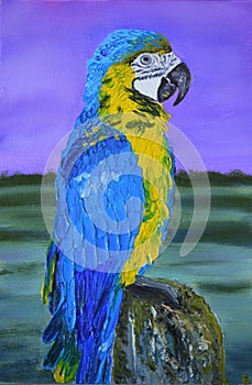 Original Oil Painting Bird Blue-Yellow Macaw Parrot Animals