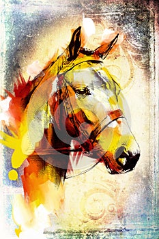 Original oil painting of a fine arabian horse funny artwork