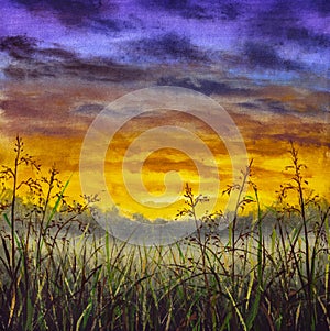 Original oil painting of grass summer field against the background of sky at sunset dawn