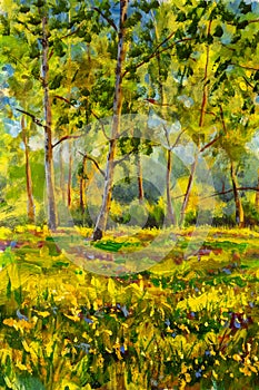 Original oil painting sunny Forest landscape, green nature, park alley - Art Sunny spring birch trees in a sunny green forest