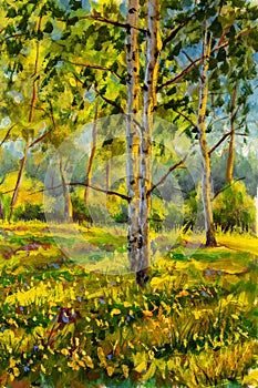 Original oil painting sunny Forest landscape, green nature, park alley - Art Sunny spring birch trees in a sunny green forest