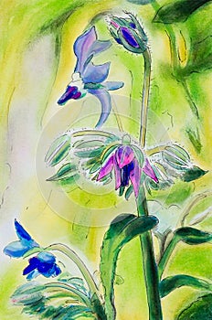 Original painting of Borage flowers. Vertical.