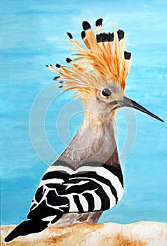 Original painting of Hoopoe bird