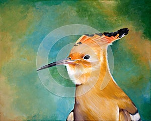 Original painting of hoopoe, a child art